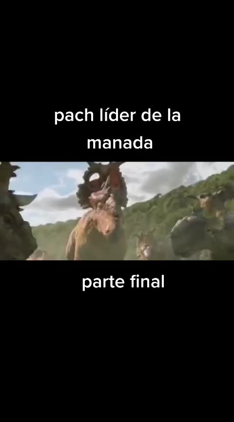 @Alex 🦴