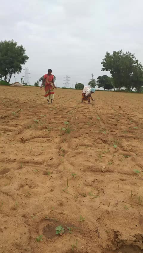 @Narsimlu Mudiraj Nar