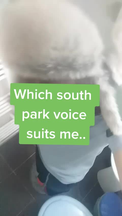 @pigeon