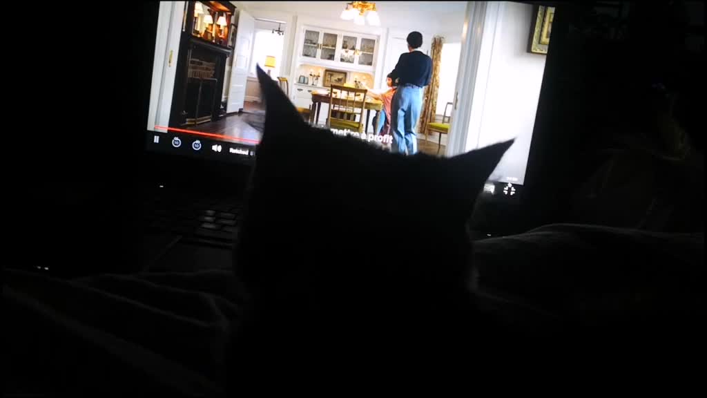 @P&ecirc;che 😺