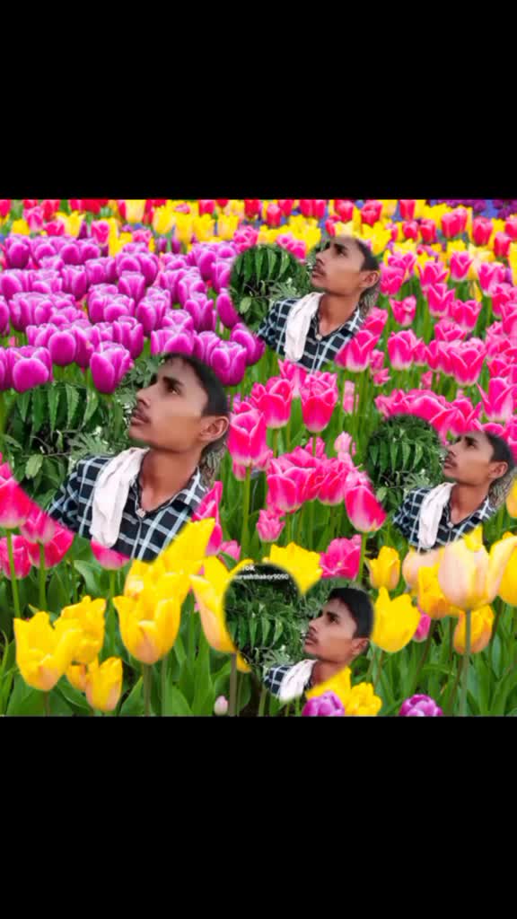 @@sureshthakor9080