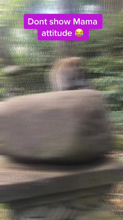@The Lost Chakra