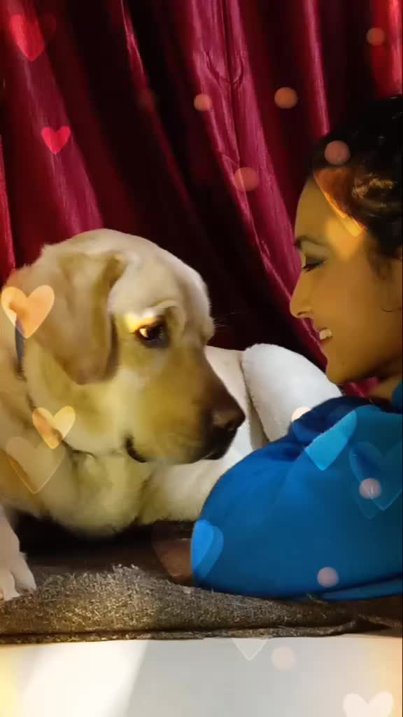 @Nidhi Bhatt