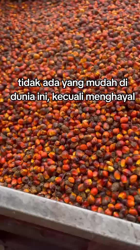 @Gembala_muda💎