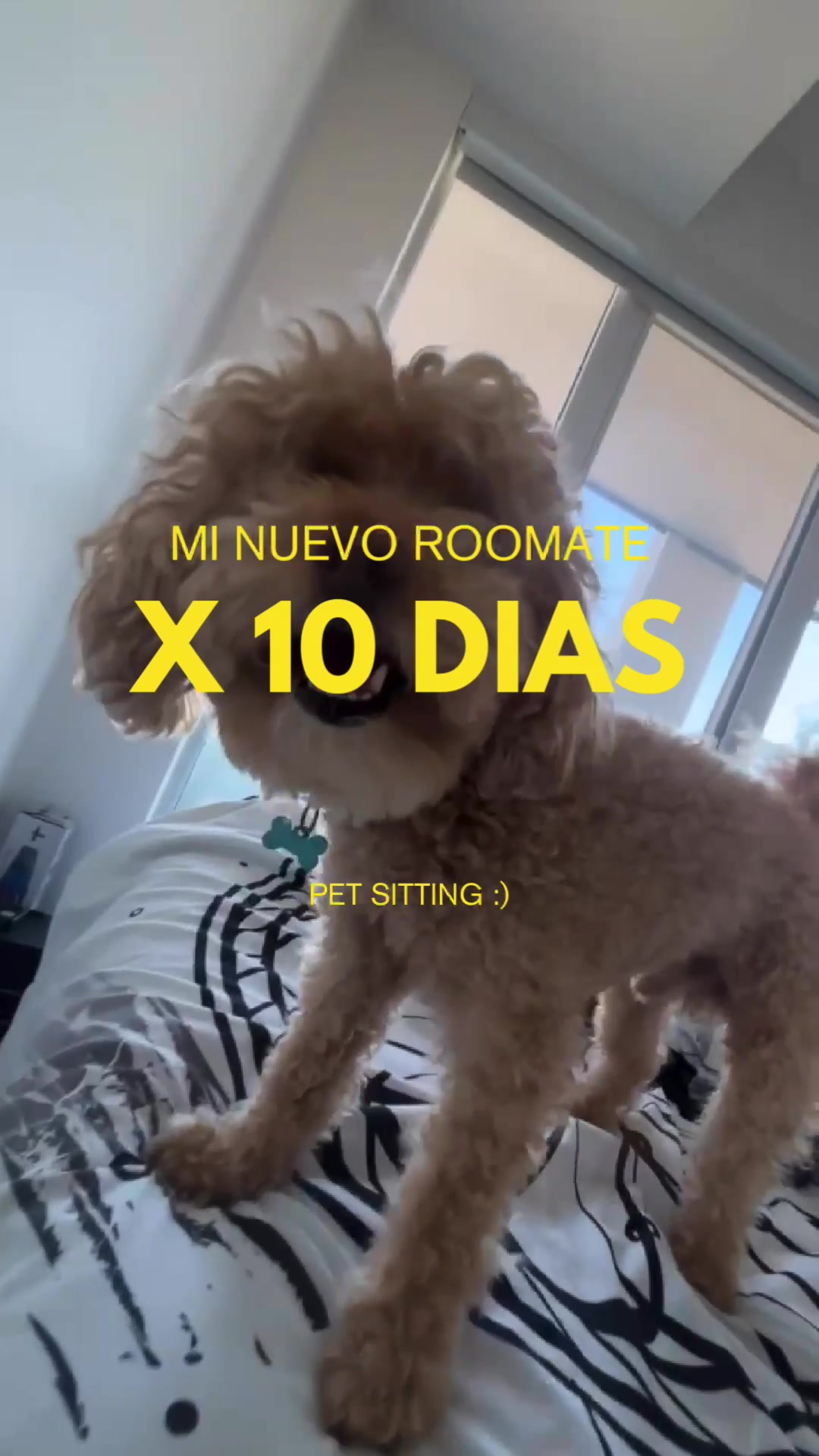 @kari🐶🇨🇦