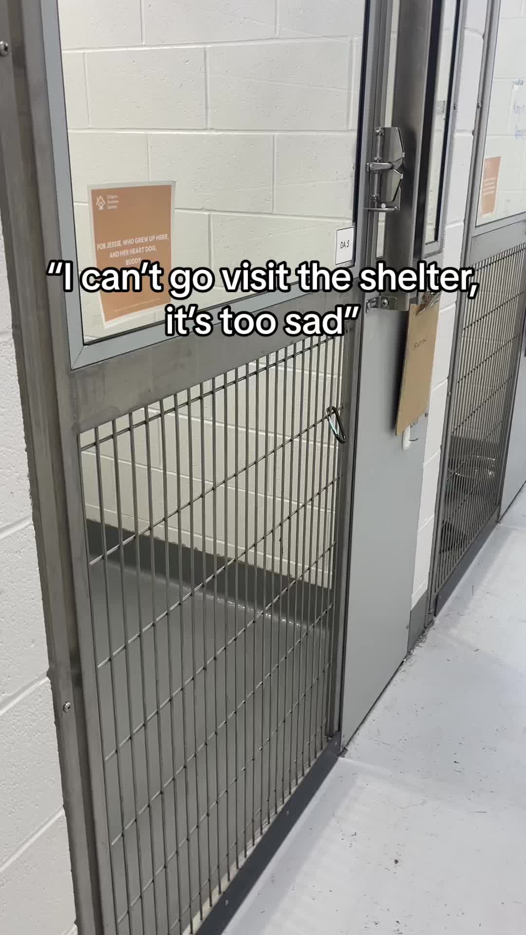 @Calgary Humane Society