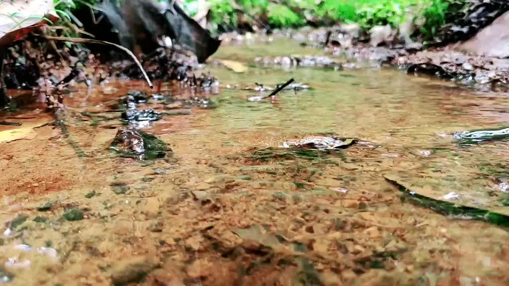 @Karthikrao