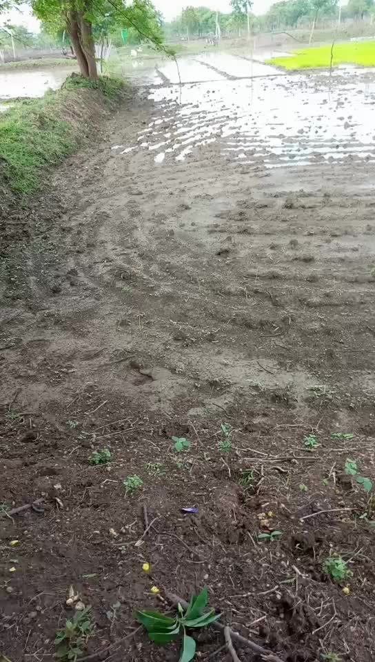 @Khuman Kaushik