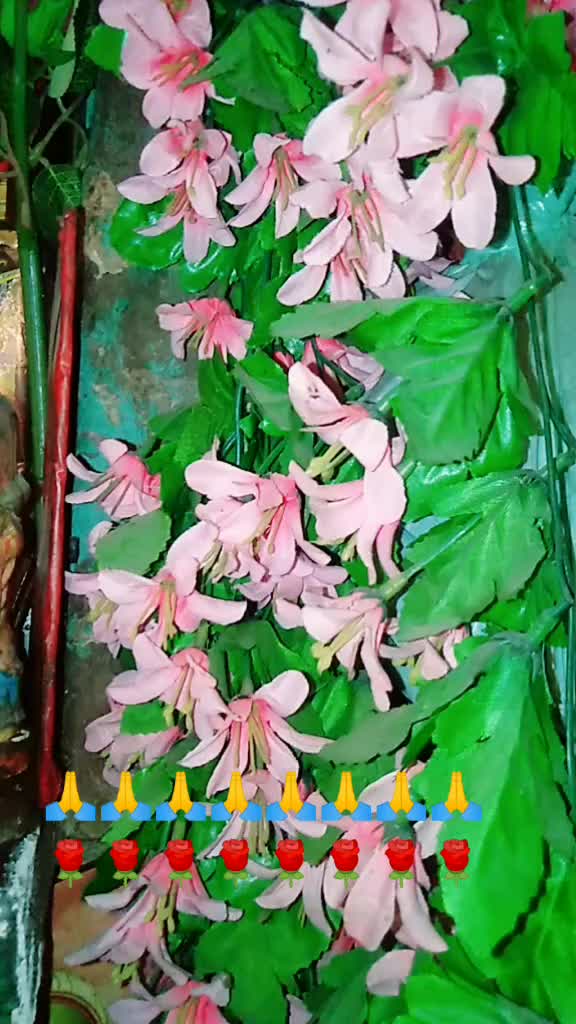 @Tik Toker