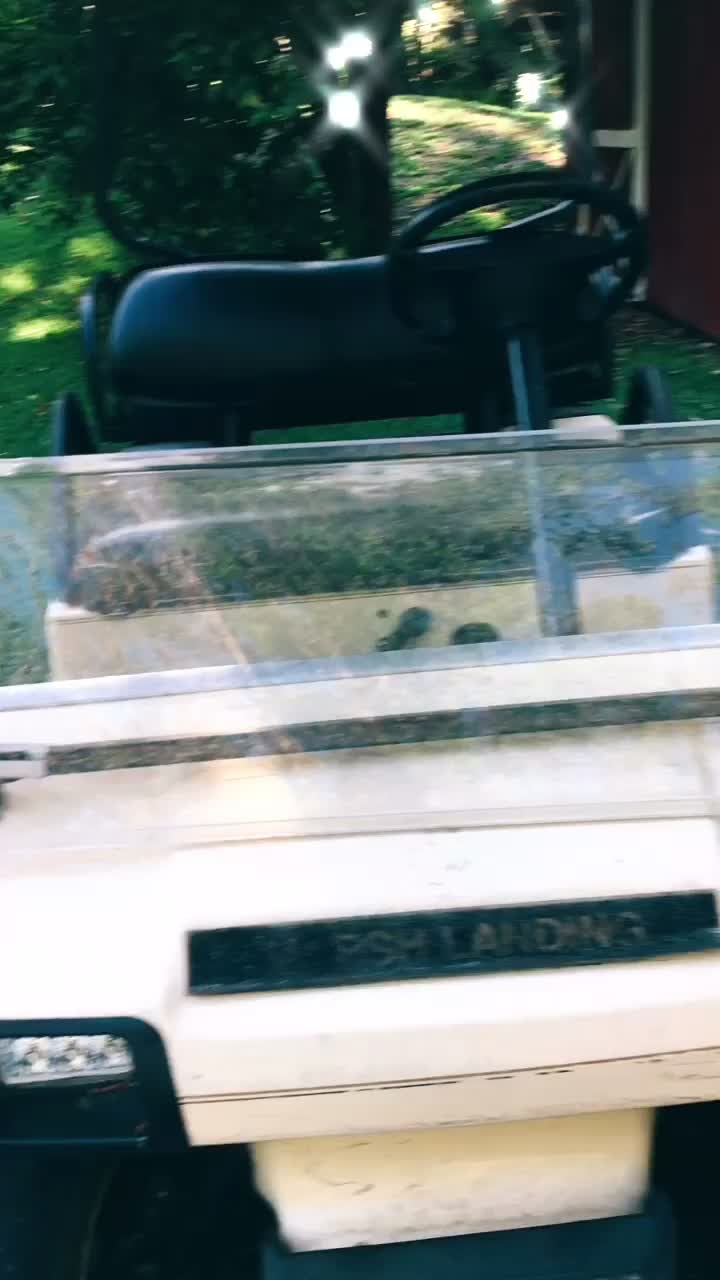 @Aesthetic