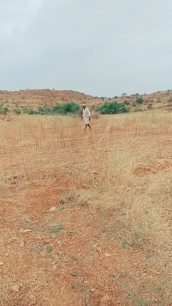 @Bandi Shiva