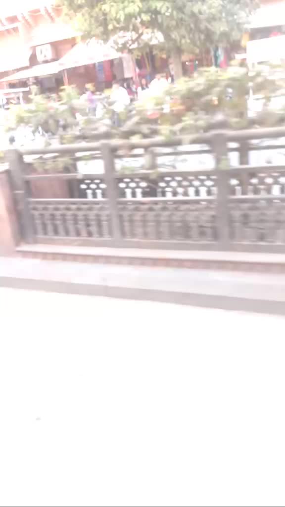 @salman khan