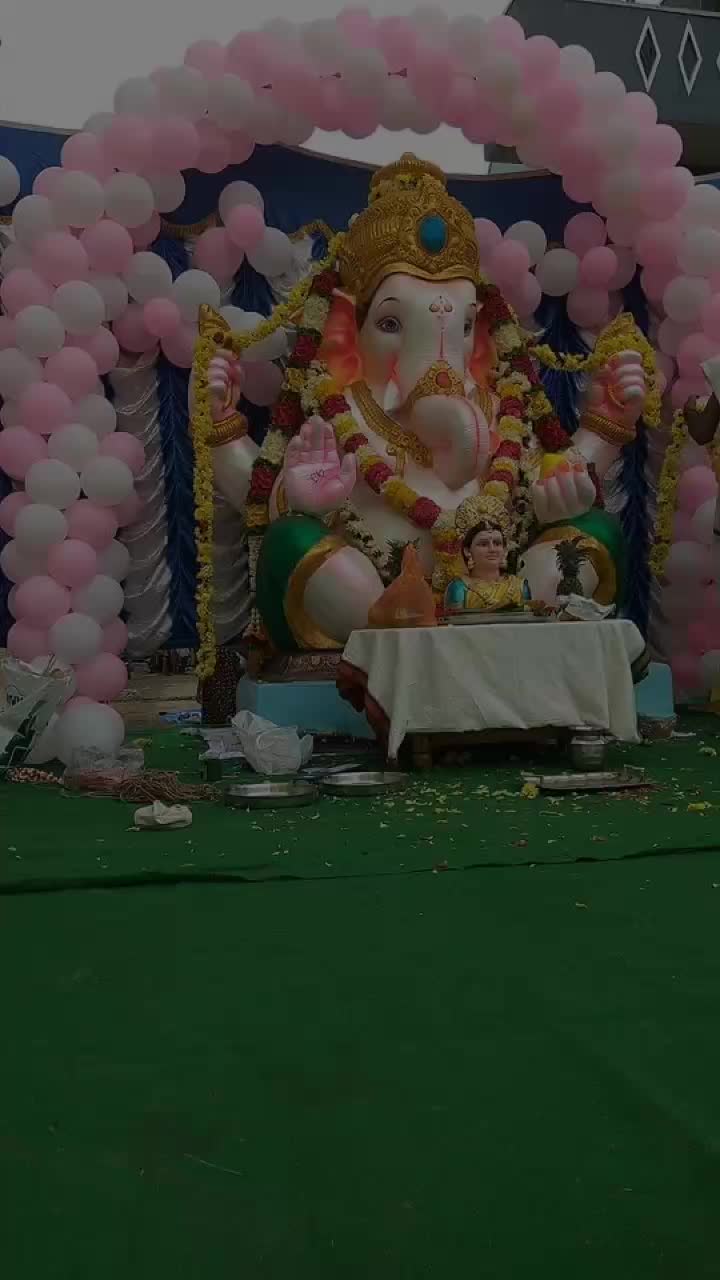 @poojasonu377