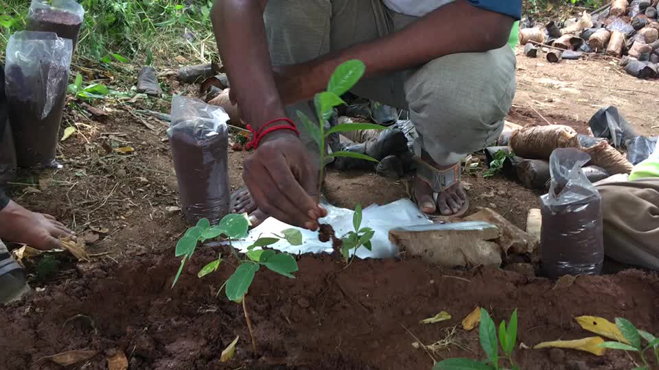 @Sakthivel Thangaraj