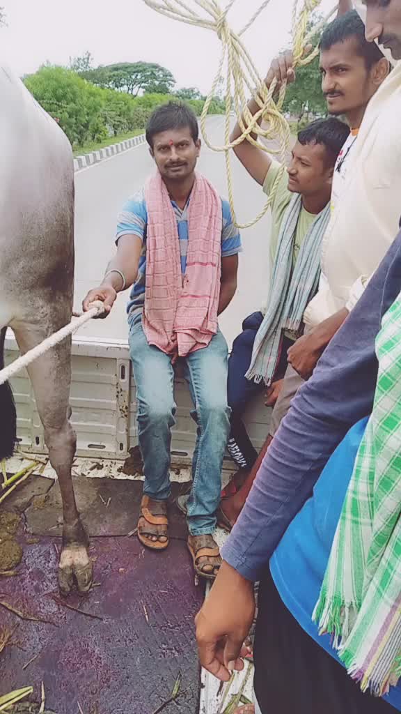 @Akash Dhekale