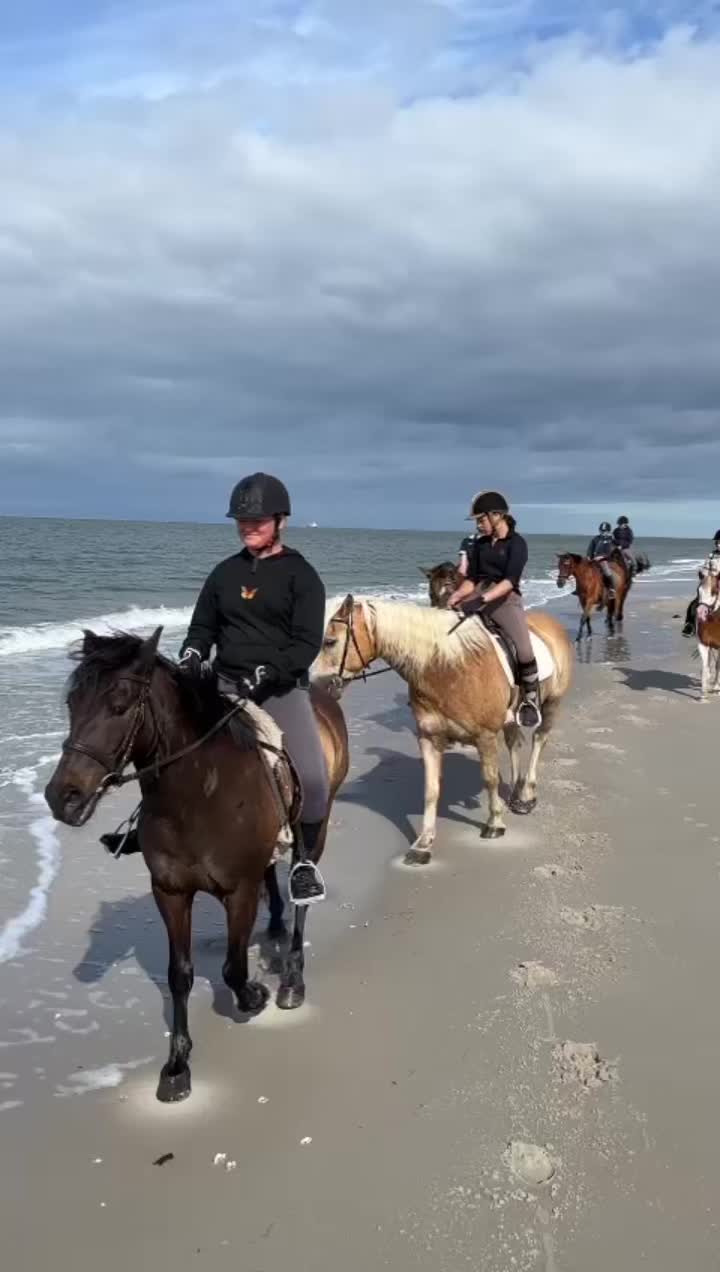 @reiterhof.andresen.amrum