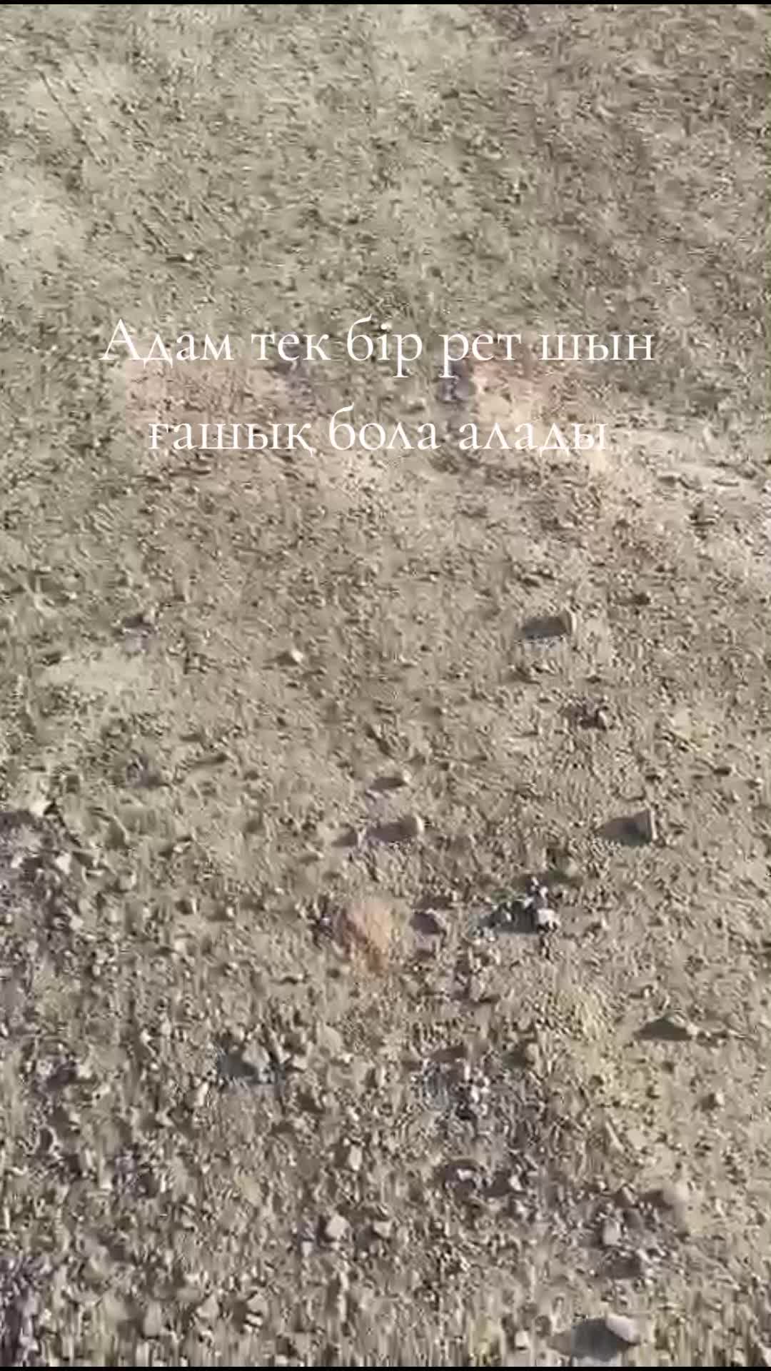 @akma_20122