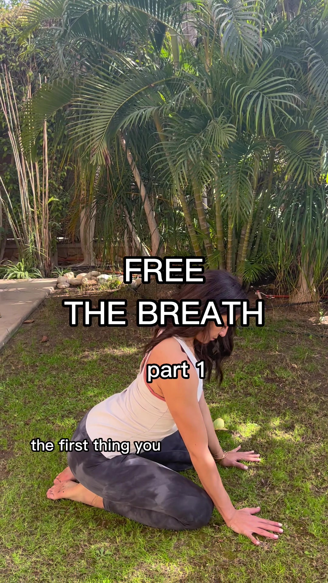 @Farah Ehsan