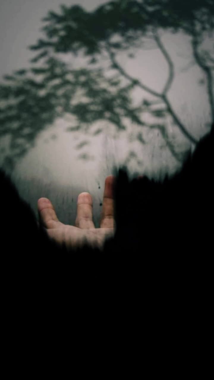 @foysol rubel