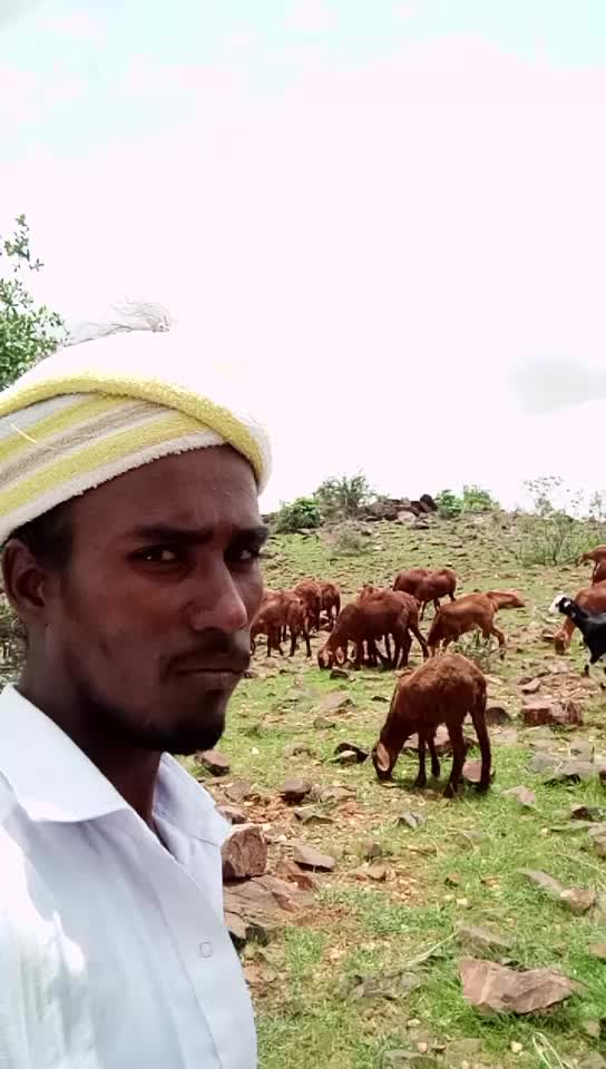 @ಜೈ ಹಕ್ಕ ಬುಕ್ಕ