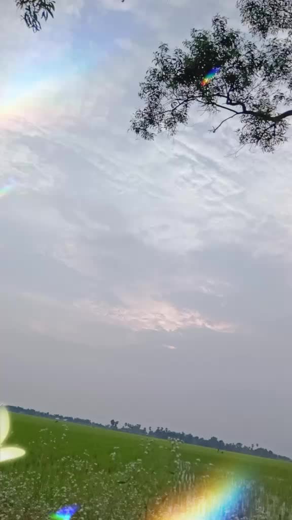 @piyali Karmakar