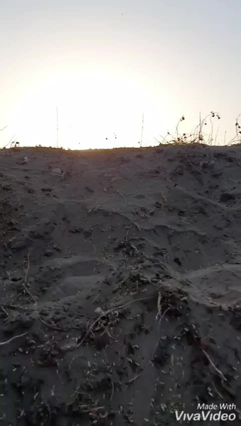 @Dip's Devdani