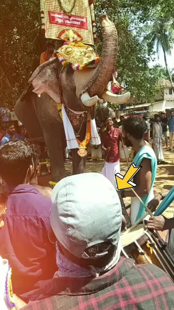 @bharathpmk321