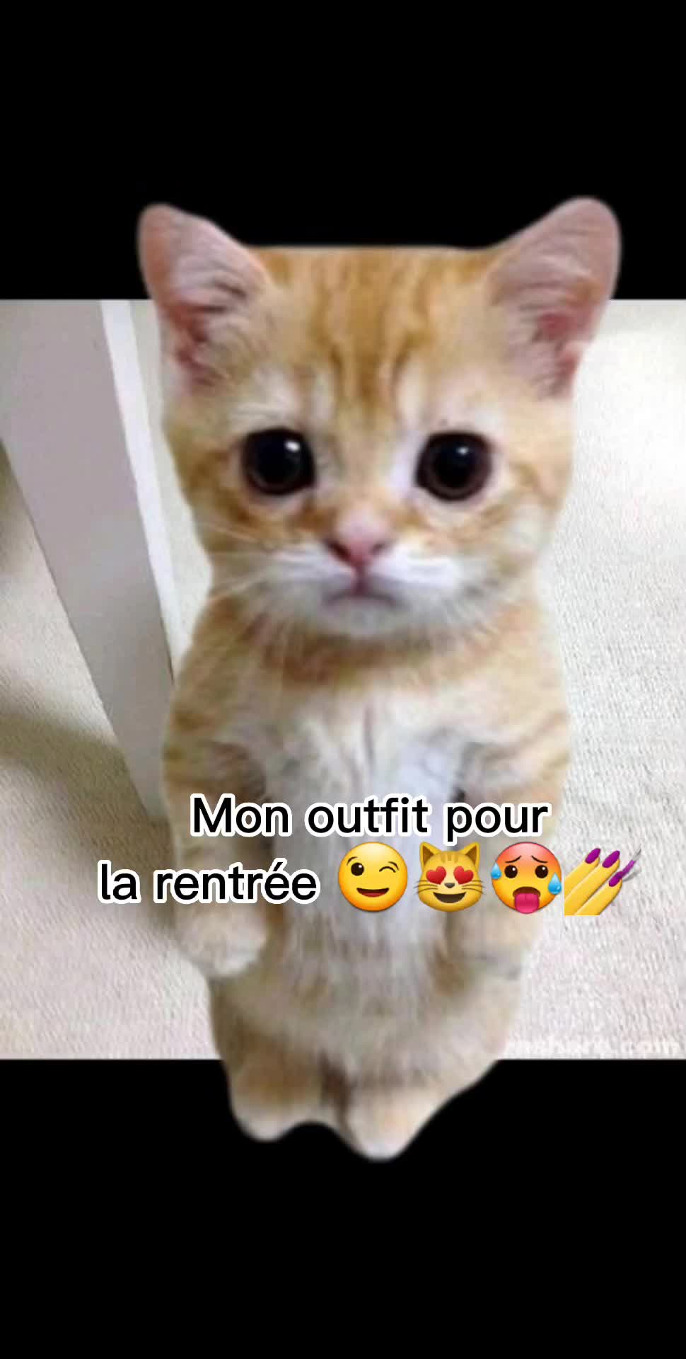 @Célia • Tg • Amis
