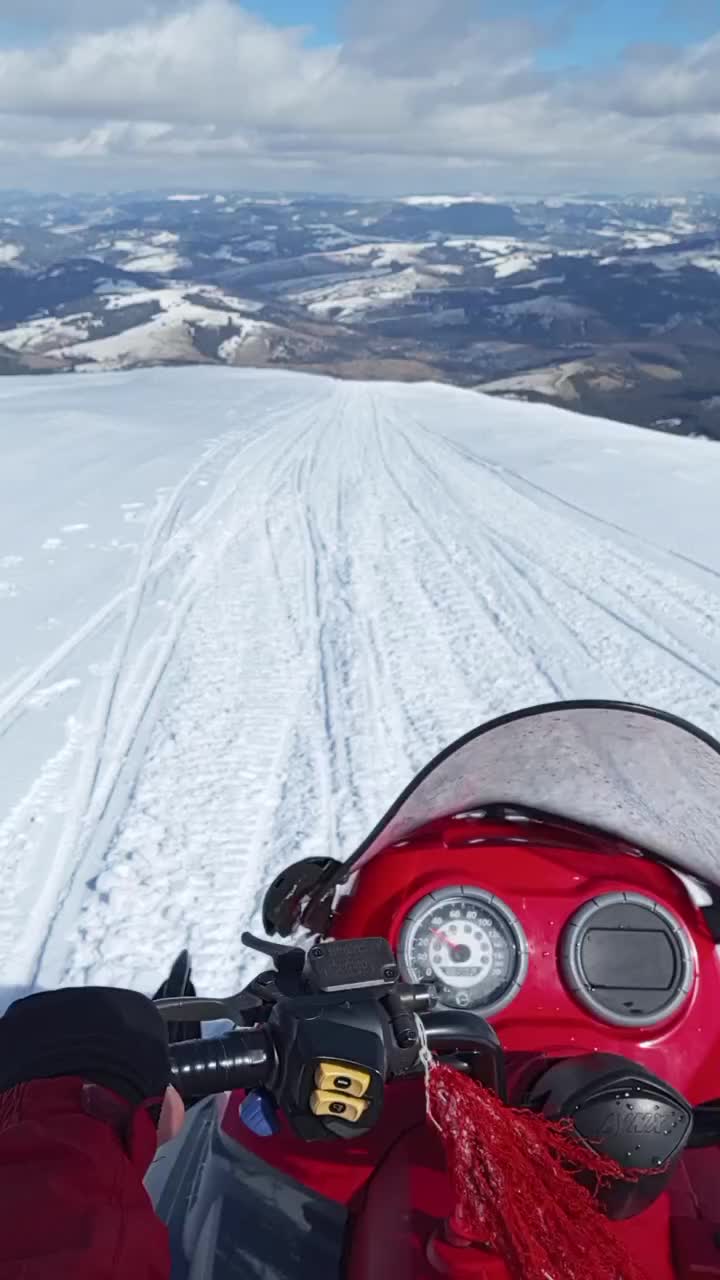 @Лёша матарыга