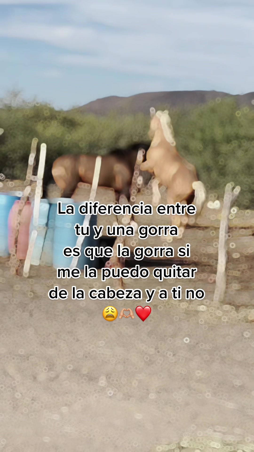 @garcia._.polo1973