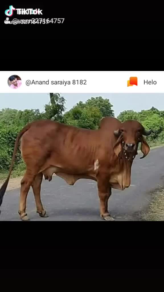 @KAMLESH RABARI