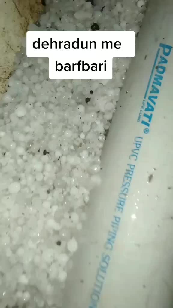 @chottabheem