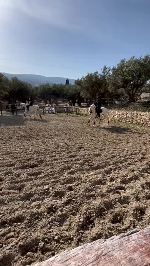 @Rosario Caligiuri