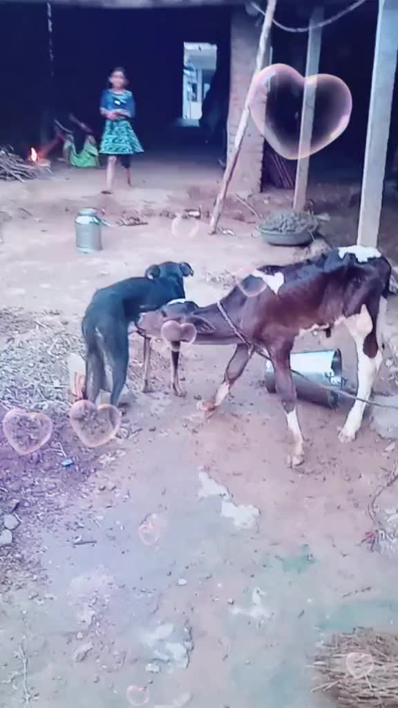@S.P.செல்வா.
