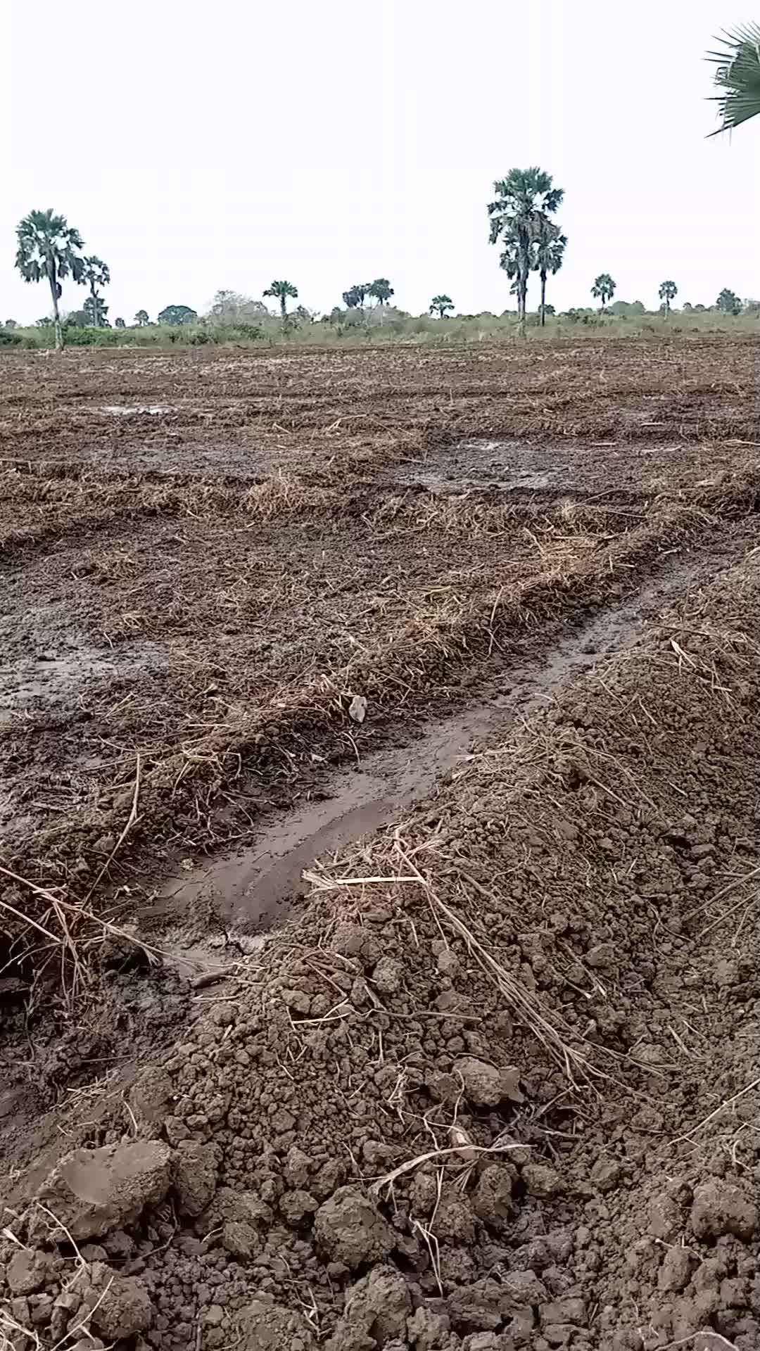 @user565810775125