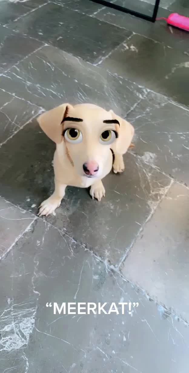 @Rileyoday