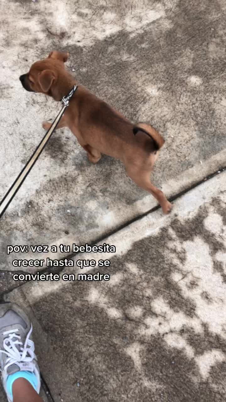 @cortes&iacute;a🫶🏽