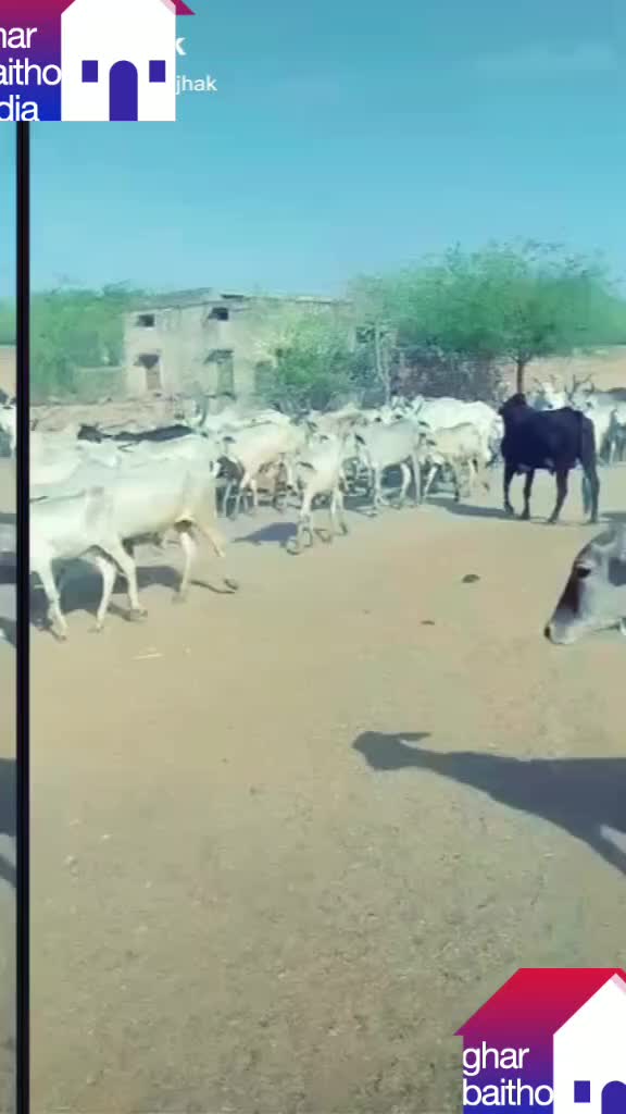 @mr_veeru_jaat