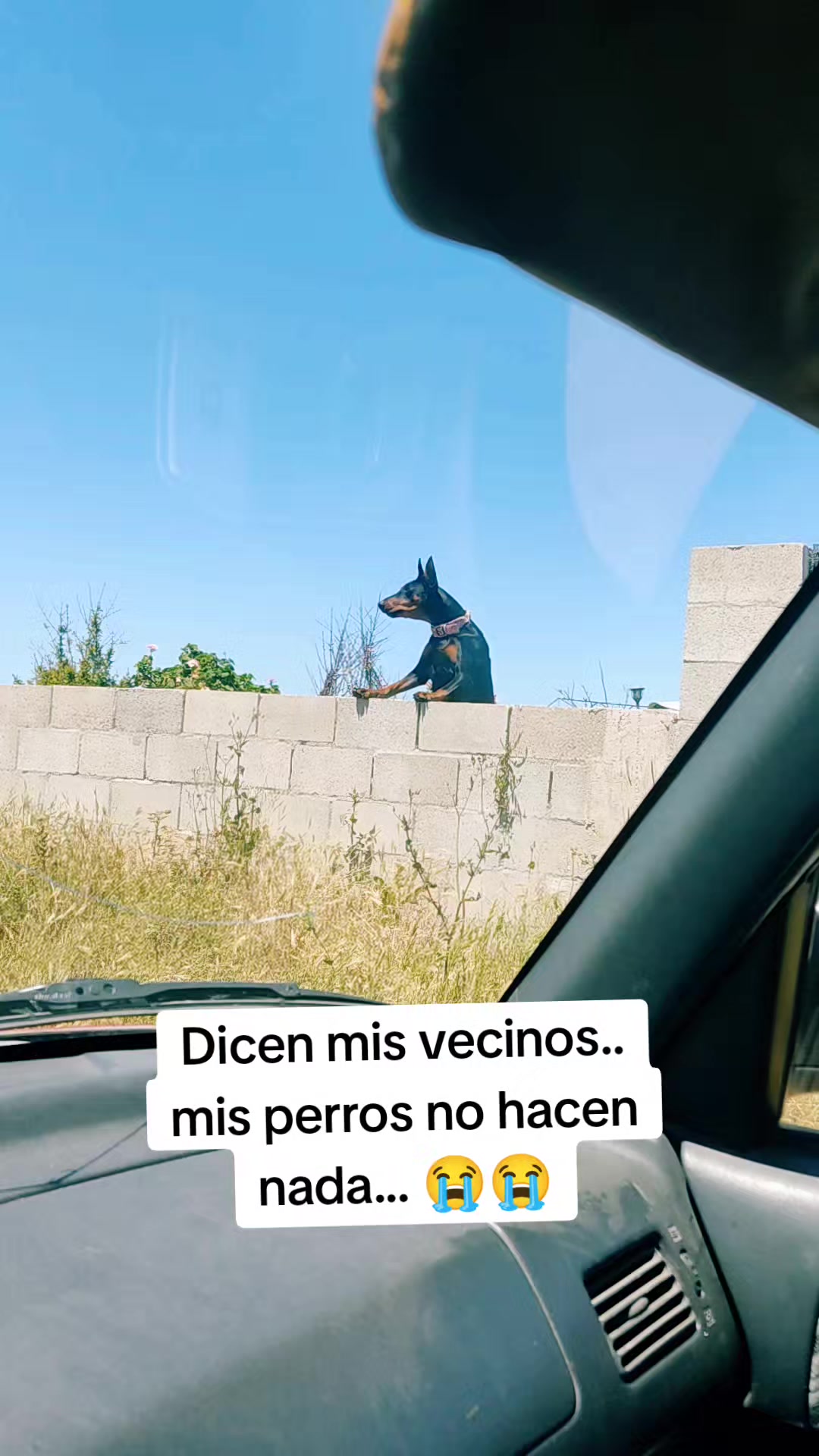 @Fabiola Castañeda520
