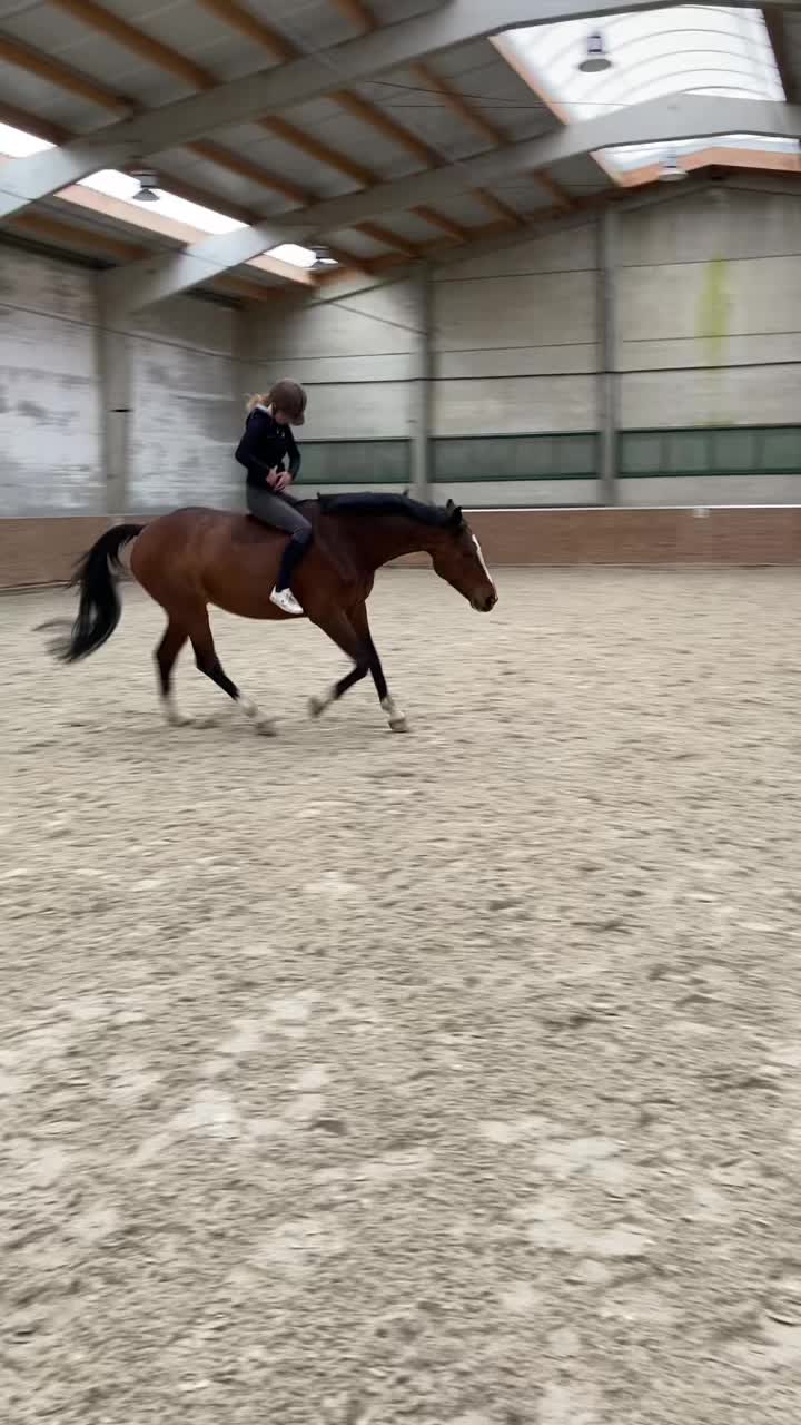 @ne.horses