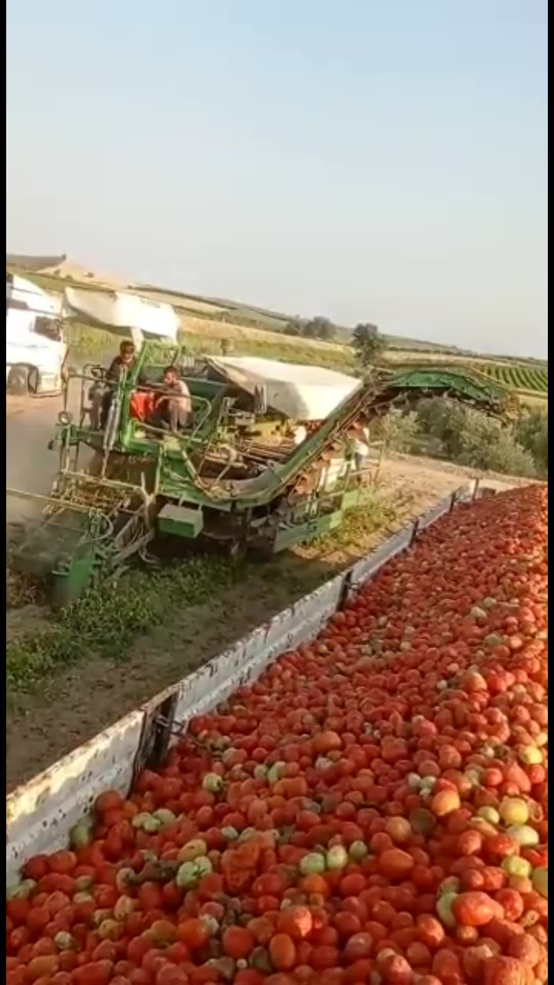 @Hüseyin Burak