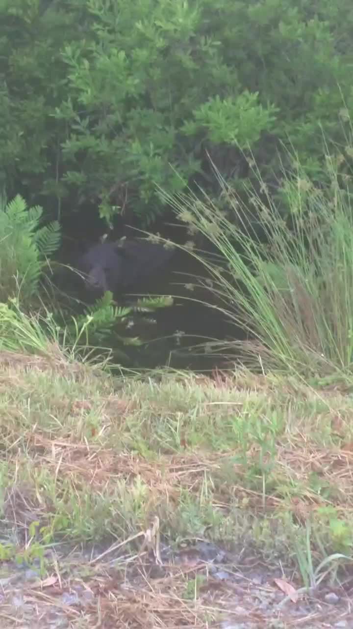 @gatordood88