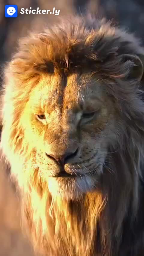 @JAYRAJ