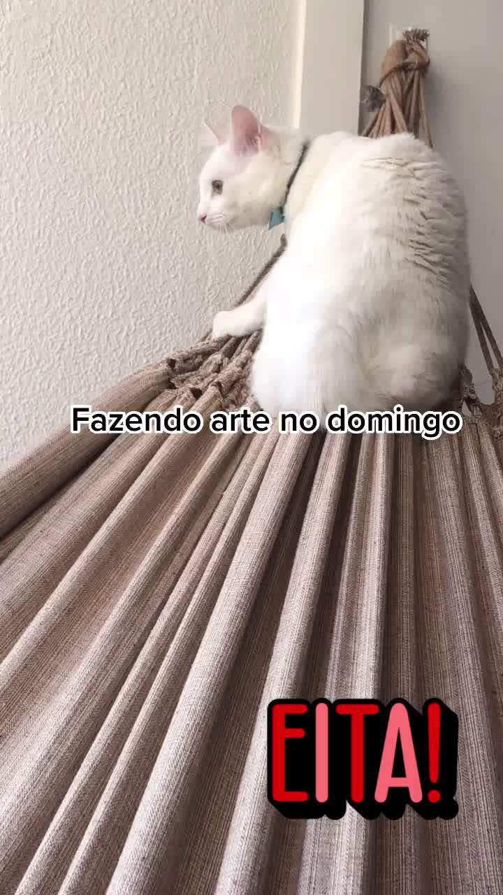 @🐱Cats🐱