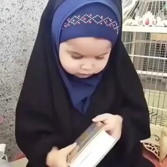@Radwan. xalid