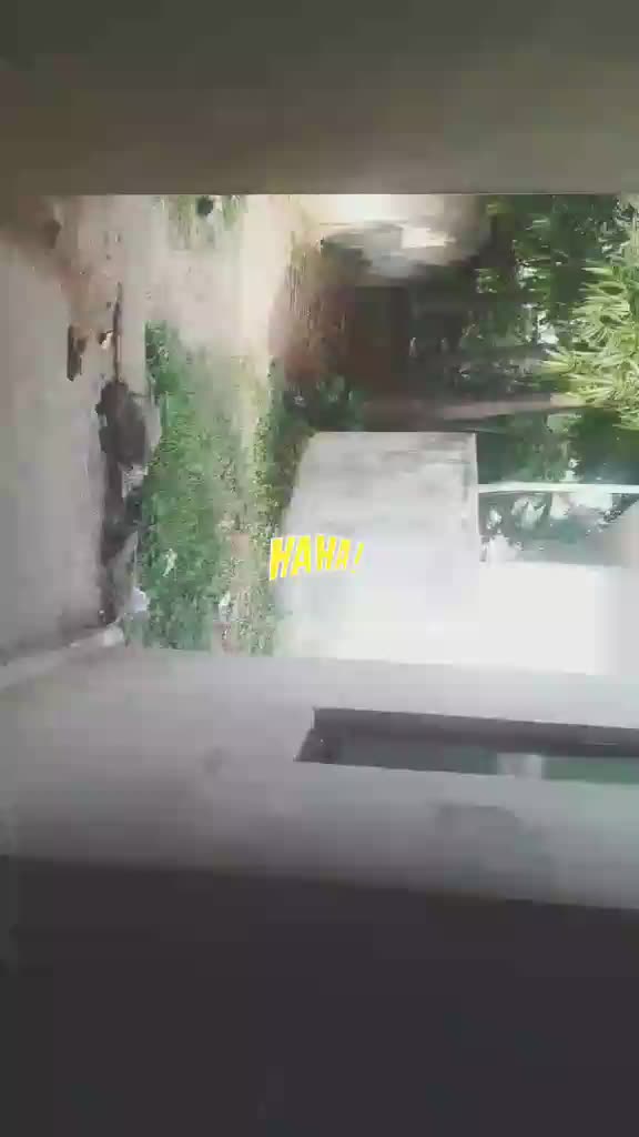 @Sreelakshmi Sreekutt