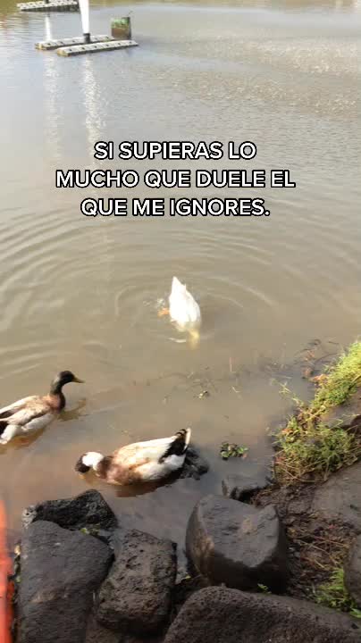@J.PABLO