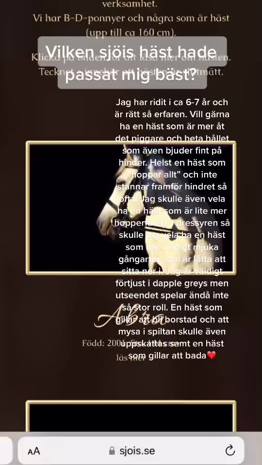 @Sjöis 2023🤍