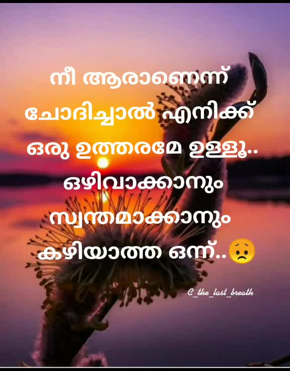 @the__fake__smiler
