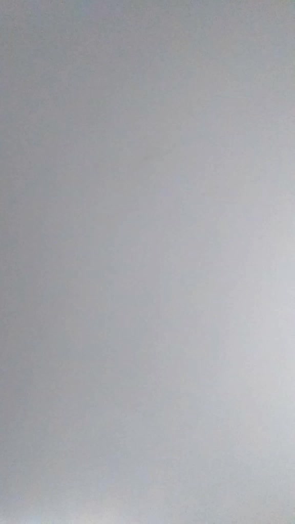 @brooklynvenglish